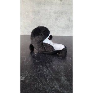 TY Echo the Dolphin Beanie Baby